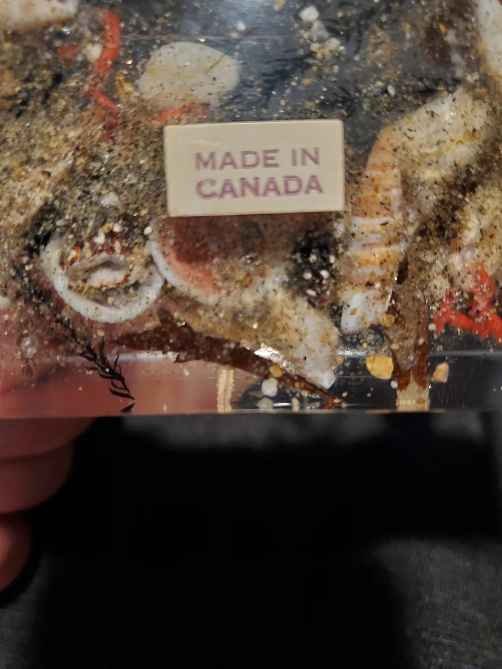 Vintage Mid-Century Canadian Lucite Seahorse Acrylic Block Paperweight